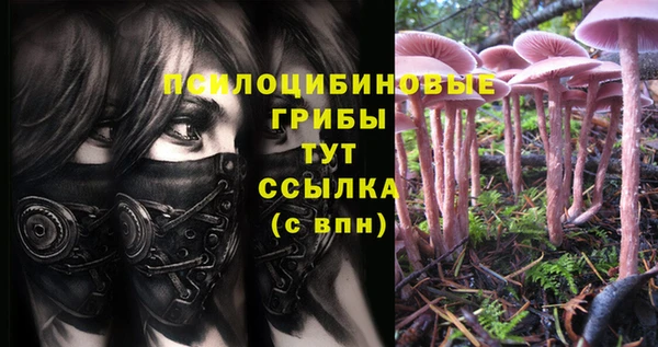 кокаин колумбия Корсаков
