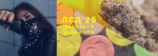 2c-b Краснослободск