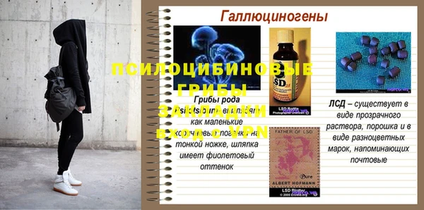 синтетический гашиш Коряжма