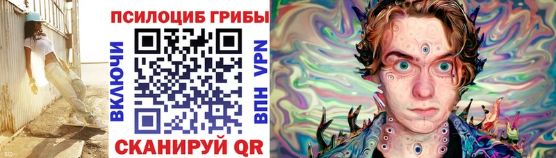 Псилоцибиновые грибы Cubensis  цена   Шуя 
