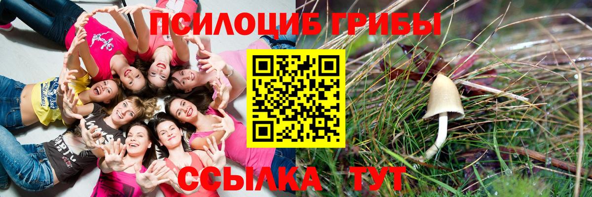 Галлюциногенные грибы Cubensis Шуя