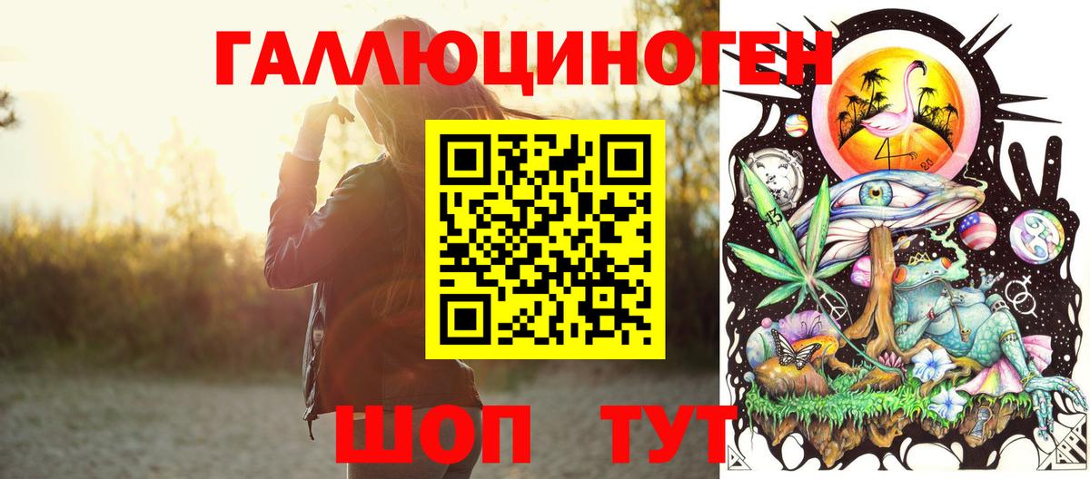 Шуя  Псилоцибиновые грибы MAGIC MUSHROOMS  Вход с VPN 