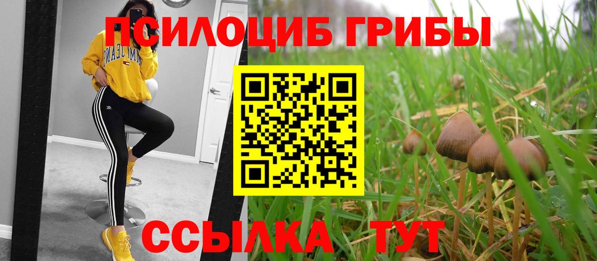 Галлюциногенные грибы Magic Shrooms Шуя